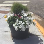 07-25 Baskets