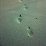 DG's Footprints