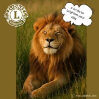 Lion Image